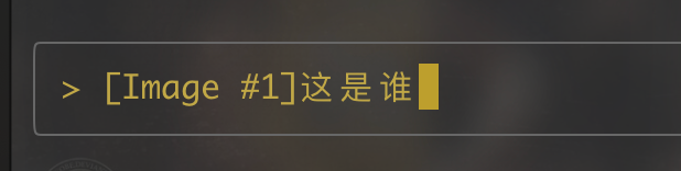 Claude Code 用法全解：你一定不能错过！ 配图 5