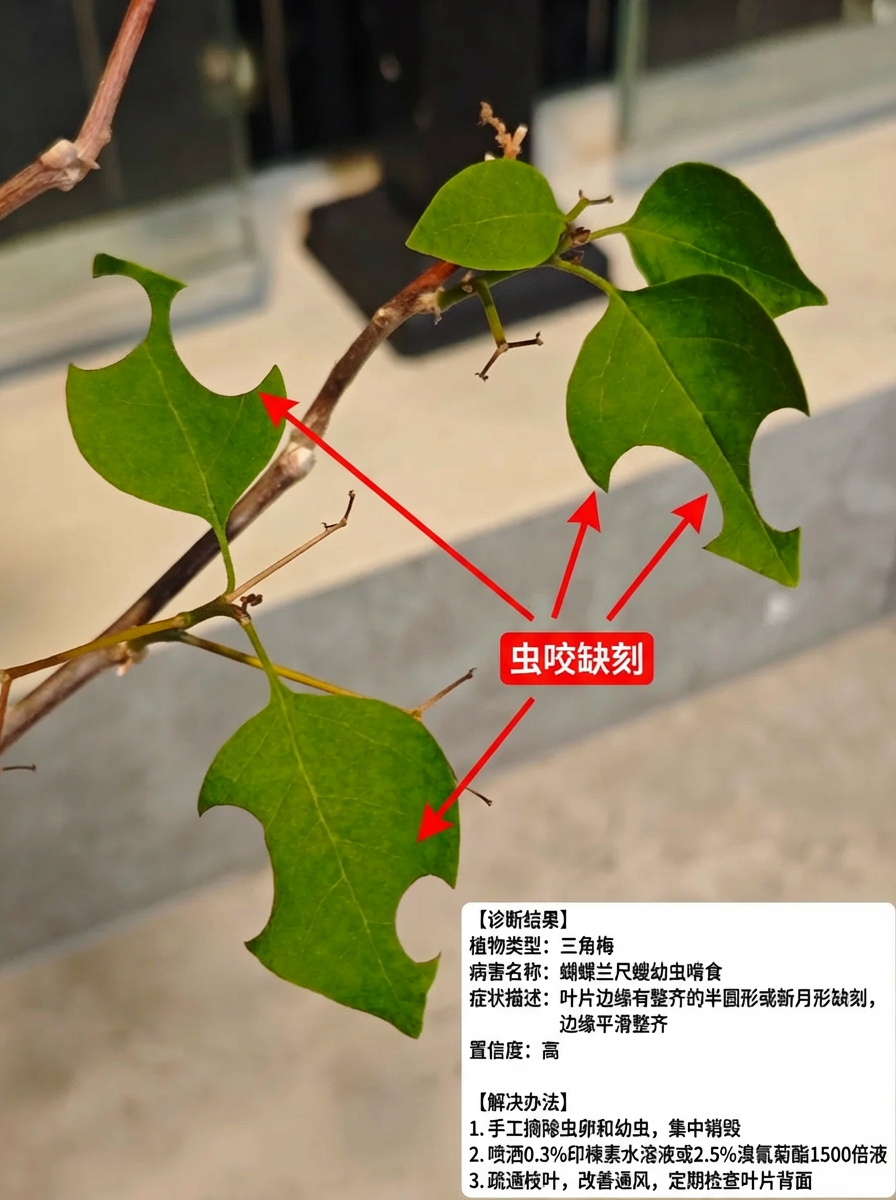 一句提示词约等于一个产品，爆款prompt就是挣钱的机会 配图 26