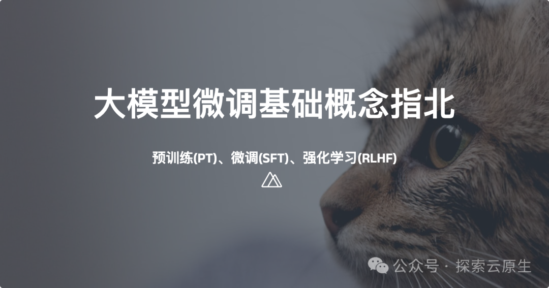 大模型微调基本概念指北