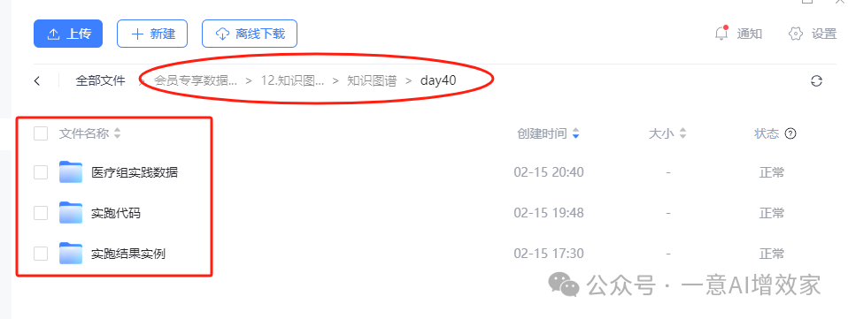 手把手！最新知识图谱落地！0基础实跑纯本地大模型做任务！结合langchain！实现识别+匹配节点关系！40/45 配图 3