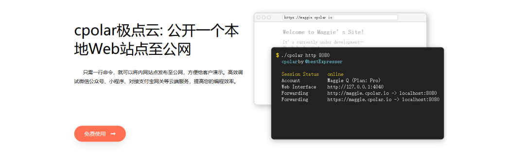 5分钟部署AstrBot+NapCat：用Docker把 DeepSeekAI接入你的QQ 配图 45