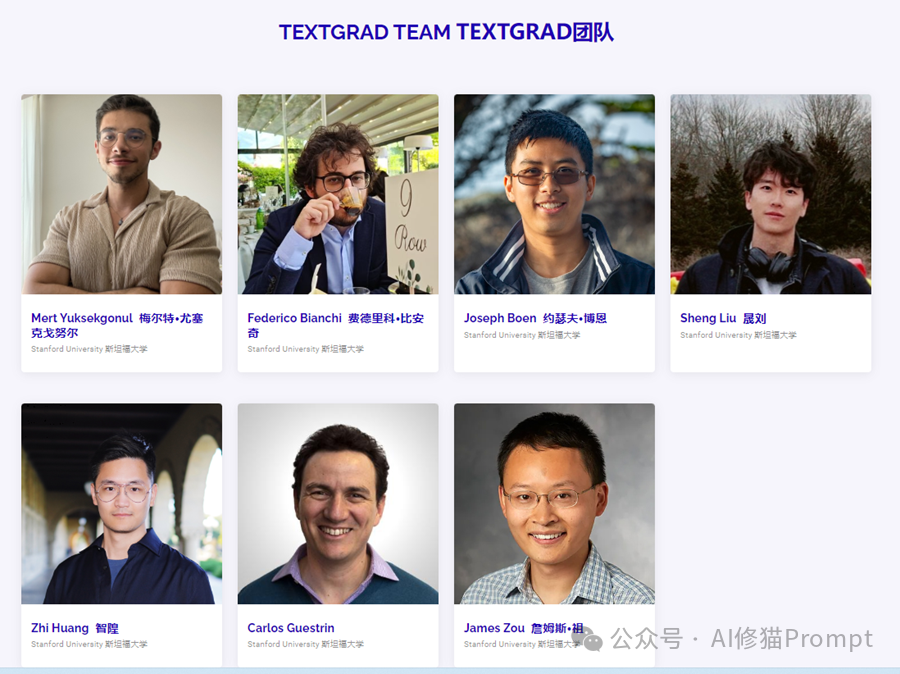 教你用TextGrad在网页优化MedPrompt，一定要摒弃高级代码只能用程序运行的想法 配图 3
