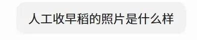 元宝检索-收早稻