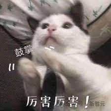 讯飞星火X1单挑满血版DeepSeek-R1，全国产算力单机部署！中国AI再下一城 配图 15