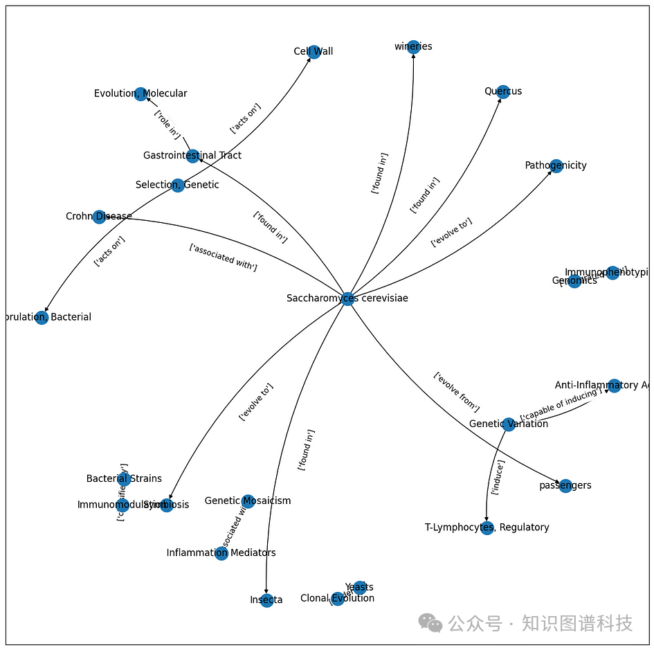 知识图谱