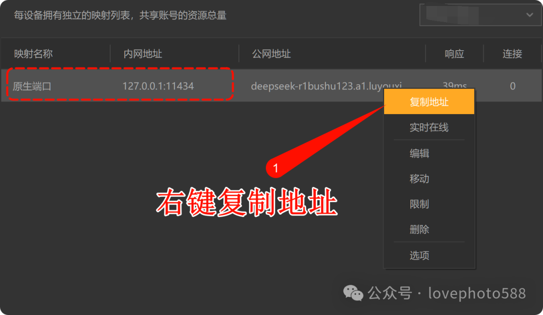DeepSeek本地部署（局域网+异地访问）数据库（保姆教程） 配图 22
