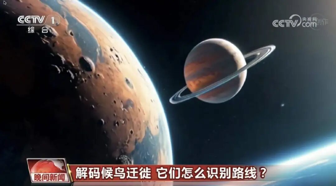 这一次，央视用AI播新闻了 配图 5