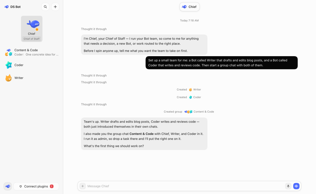 DS Bot 团队界面