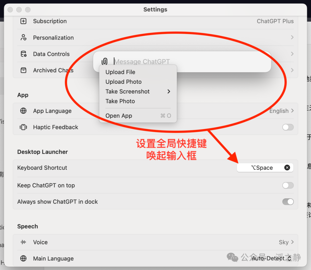 使用教程：官方 ChatGPT 桌面应用 配图 2