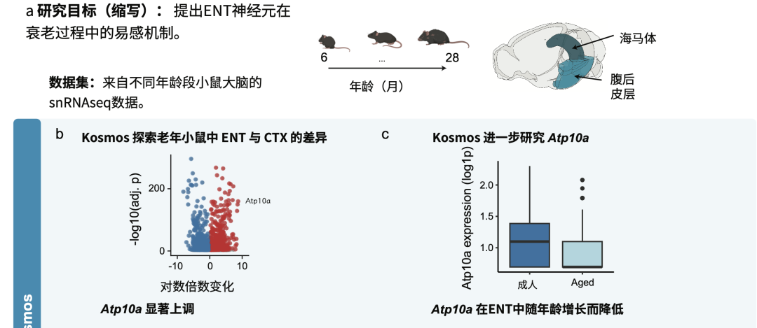 200 美元，一天干完半年活：这个新出的AI科学家，是来砸博士生饭碗的吗？ 配图 4