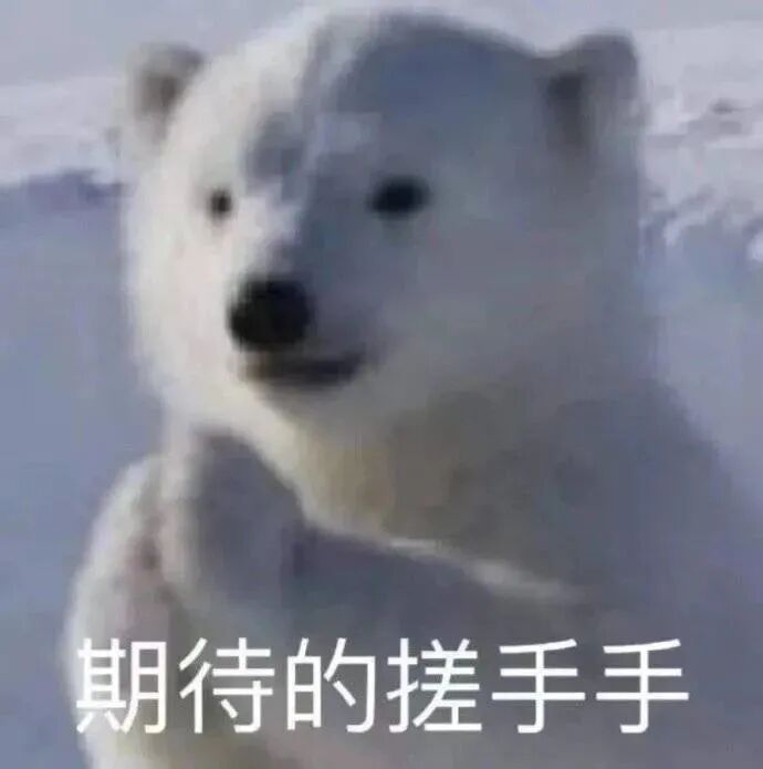 o3 发布了，摔碎了码农的饭碗 配图 14