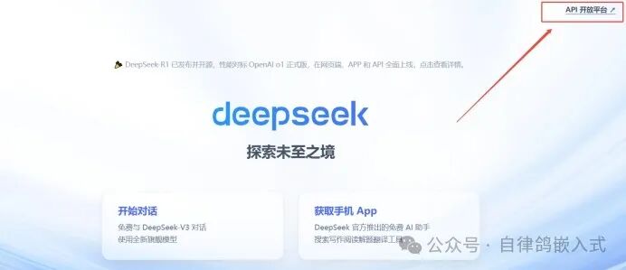 解锁AI编程：VSCode轻松接入Deepseek大模型 配图 6