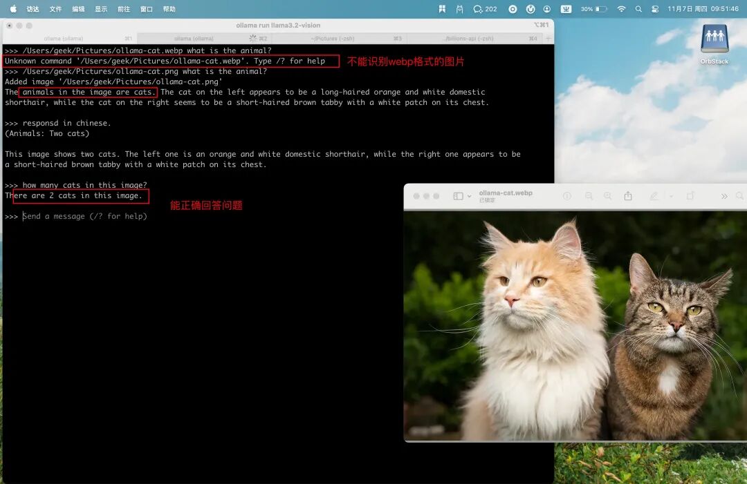 Ollama 0.4 版本发布，支持 Llama 3.2 Vision 视觉模型，实测满足个人使用 配图 5