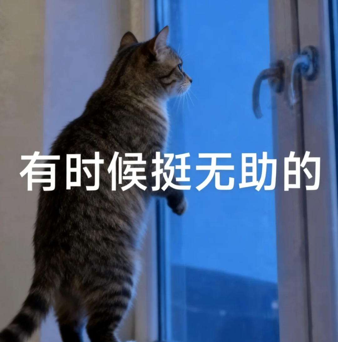 刚刚，国产Agent模型闯入全球第一梯队！限时免费