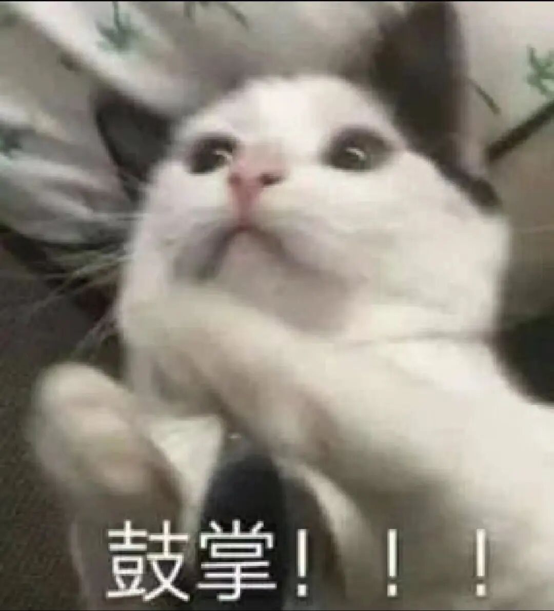 雅思！口语！用 AI 这不就搞定了！？｜扣子Coze最佳实践 Vol.1 配图 6