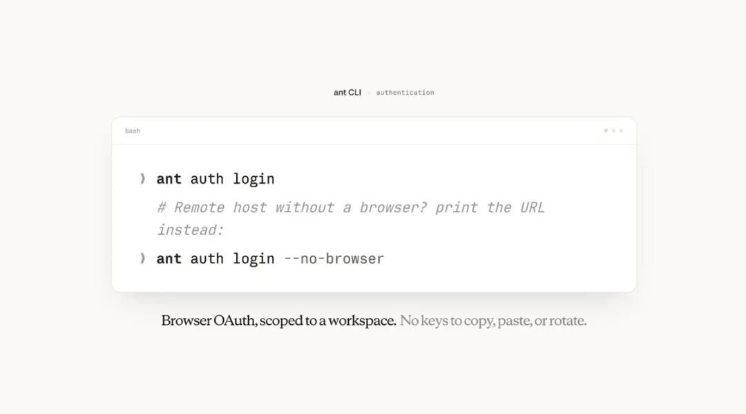 Anthropic突然上线全新CLI：一行命令操控Claude全部API 配图 2