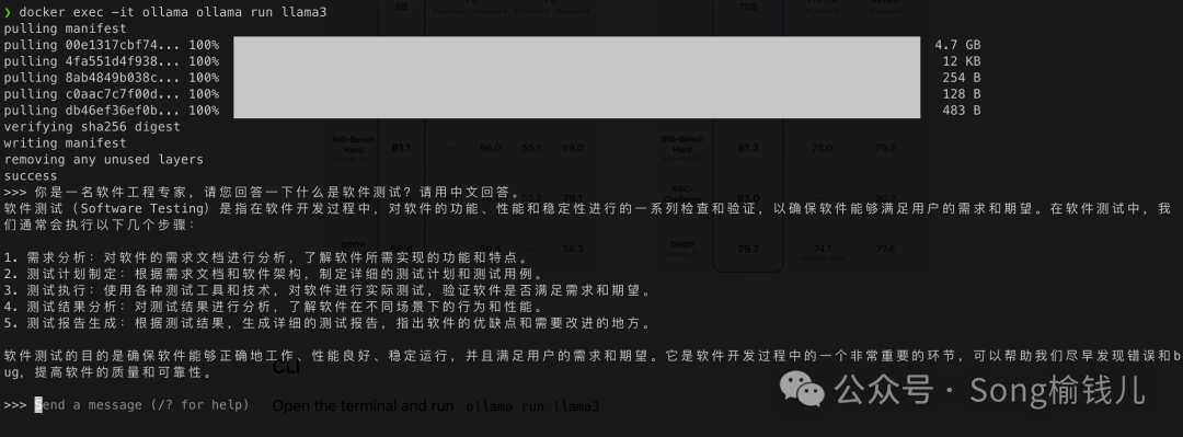 AI菜鸟向前飞 — 本地部署大语言模型之Ollama（保姆级指北） 配图 13