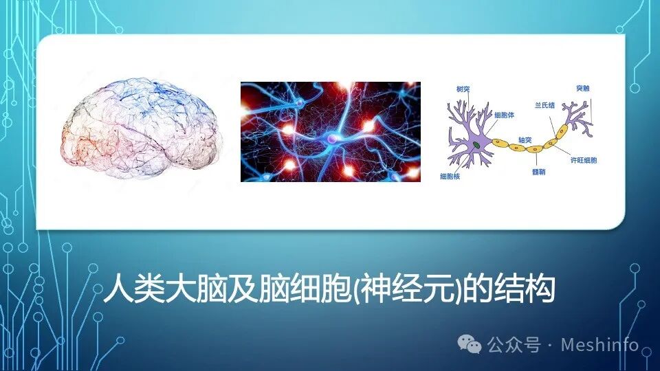 AI就是模仿游戏——给青少年的AI入门课 配图 14
