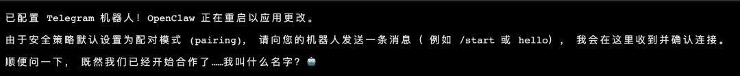 教你零成本使用满血 Clawdbot，并手把手带你集成飞书和Telegram 配图 18