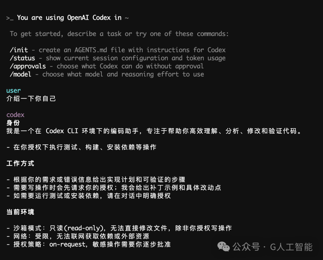 苹果 macOS 本地部署最新 GPT-5 CodeX，网友集体抛弃 Claude Code 配图 6