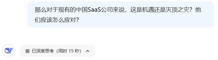 对话Deepseek（8）AI编程会让标品SaaS走向何方？ 配图 3