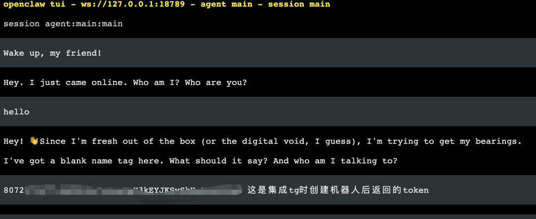 教你零成本使用满血 Clawdbot，并手把手带你集成飞书和Telegram 配图 17