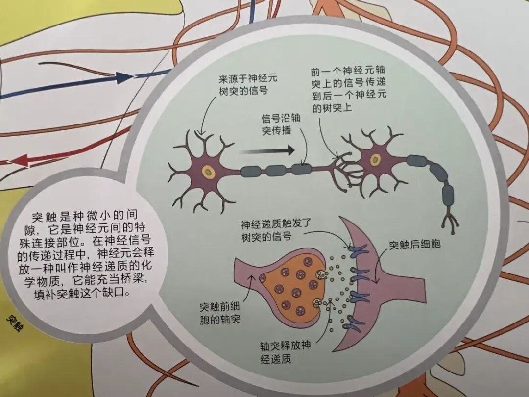 AI 世界生存手册（一）：从LR到DeepSeek，模型慢慢变大了，也变强了 配图 41