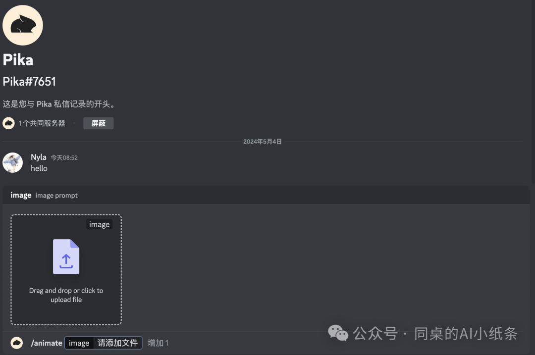 人人都能看懂的Pika入门教程！手把手教你AI一键生成视频 配图 19