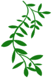 Docker+vLLM内网离线部署Qwen3教程 配图 4