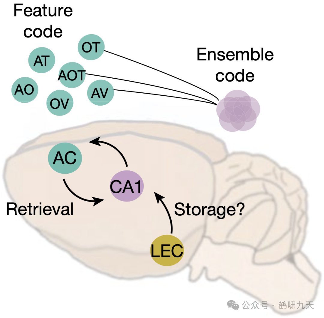 Agent技术解读：Memory记忆模块 配图 3