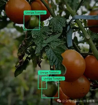 吴恩达最新发布Agent目标检测：Agentic Object Detection 配图 7