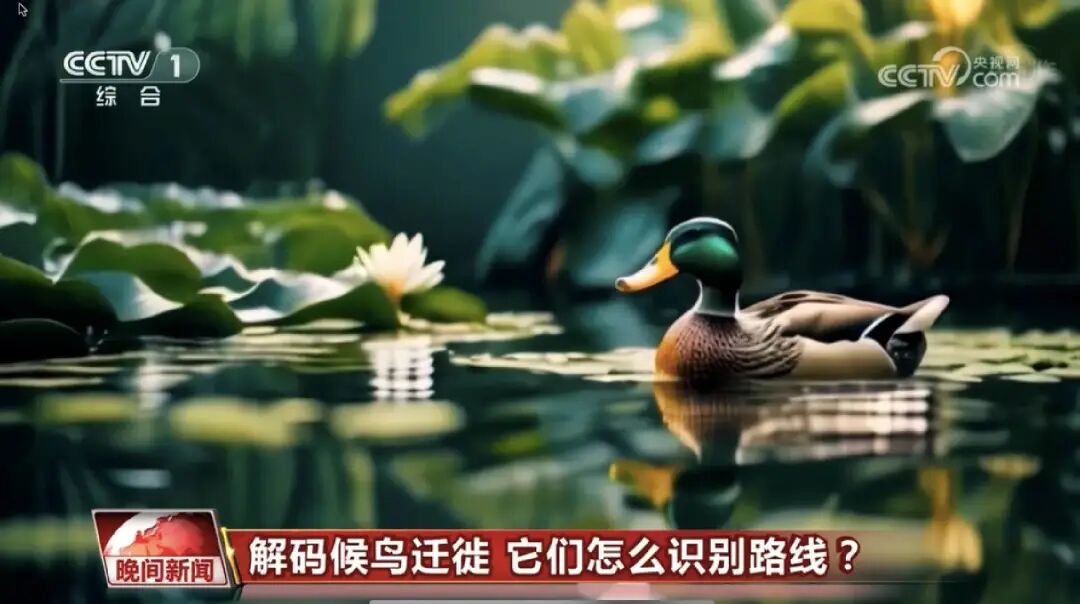这一次，央视用AI播新闻了 配图 17
