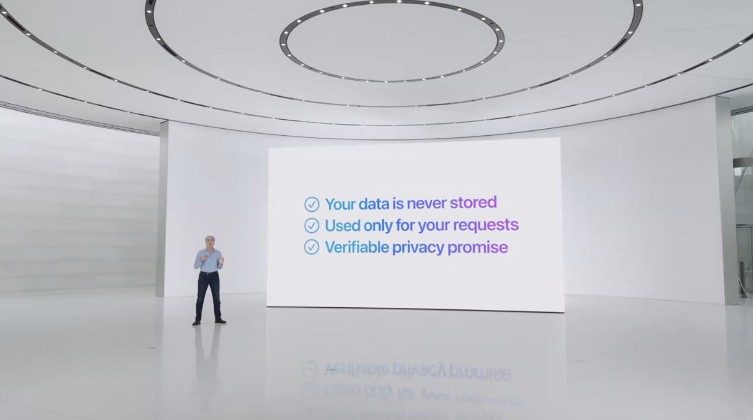 苹果有史以来最疯狂的发布会！发布颠覆性个人智能系统Apple Intelligence，并彻底改革Siri 配图 17