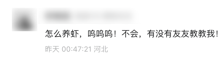 🦞元宝派「养虾」常见问题答疑