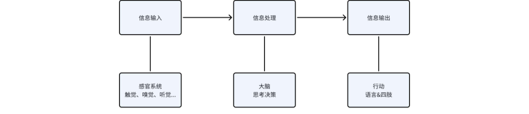 coze平台保姆级教程，手把手教你创建属于你的AI Agent 配图 3