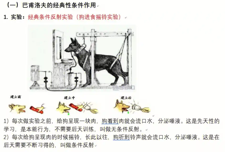 小白学AI | 术语篇 ( 二 ) 配图 6