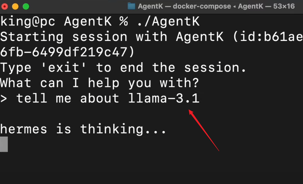 Agent-K：这个自我进化的 AI 代理可以做任何事情！（生成应用程序、代码、RAG 等） 配图 17