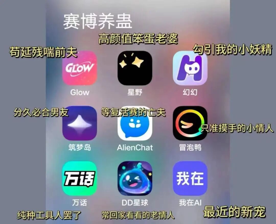 这款 AI 陪伴产品，被央视发文批评！专家称其为“新违法行为”。 配图 19