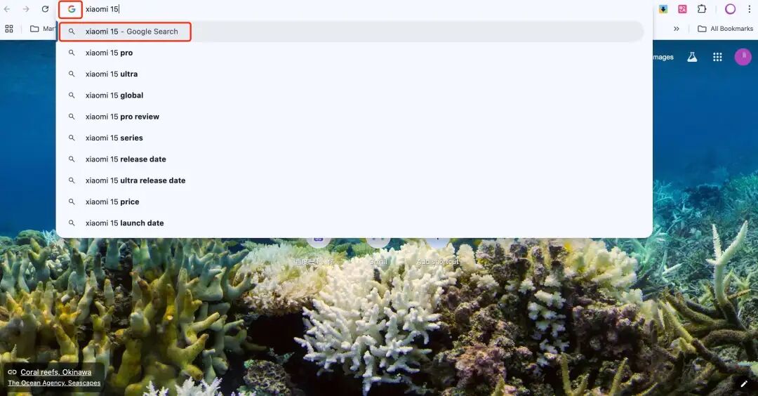 ChatGPT Search浏览器插件手把手教学！OpenAI官方出品！ 配图 3