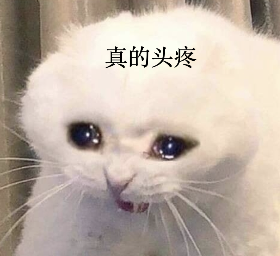 鹅厂员工觉得好的code模型应该具备什么能力？ 配图 11