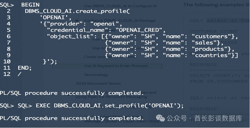 Oracle 23AI实现SQL自然语言查询 配图 6