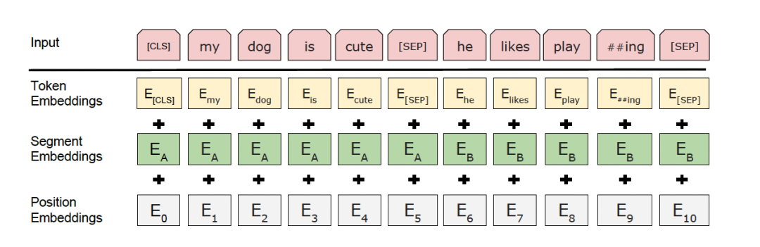 BERT — PaddleEdu documentation