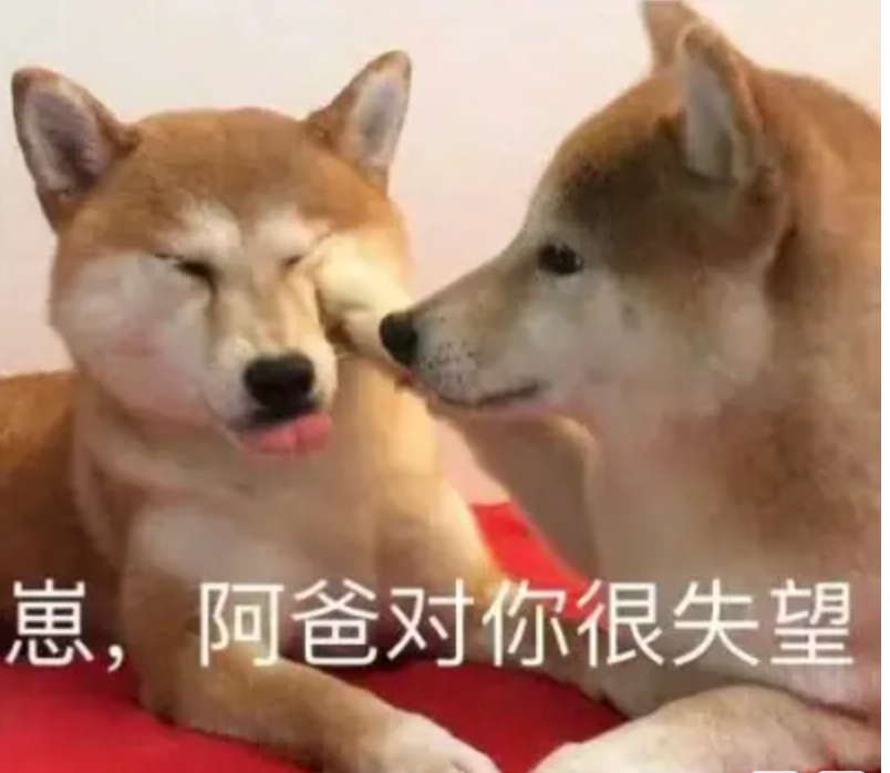 探究大学生眼中理想的AI对话产品