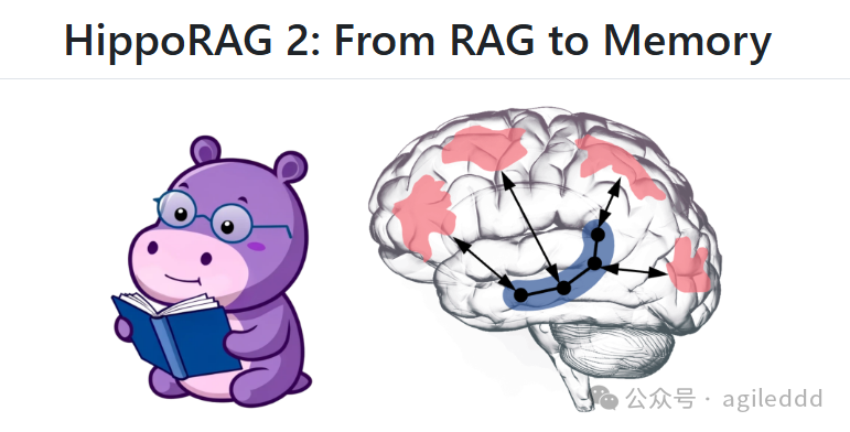 Graph RAG 迎来记忆革命：“海马体”机制如何提升准确率？