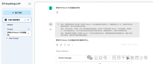 Anything LLM高级用法-deepseek本地调用神器 配图 13