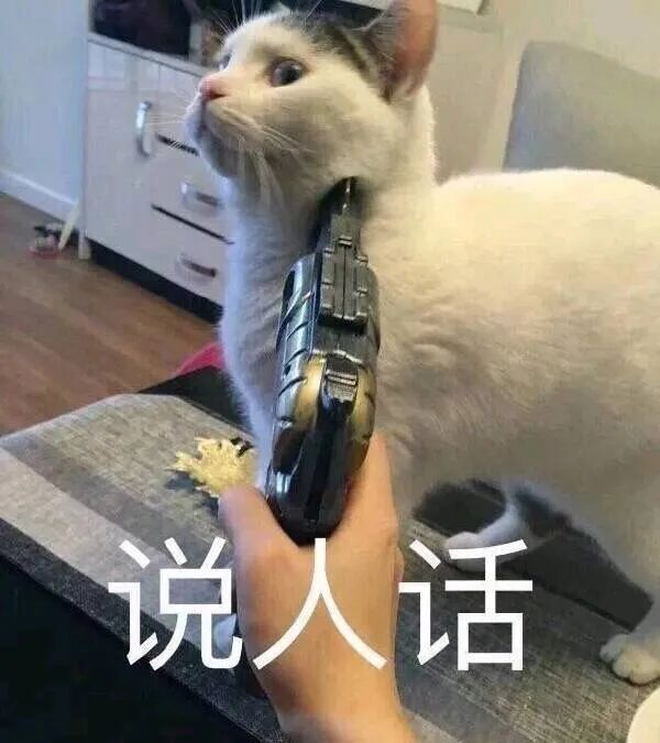 说人话，大模型领域黑话解读