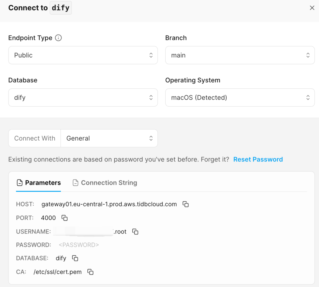 Dify + TiDB Vector，快速构建你的 AI Agent 配图 4