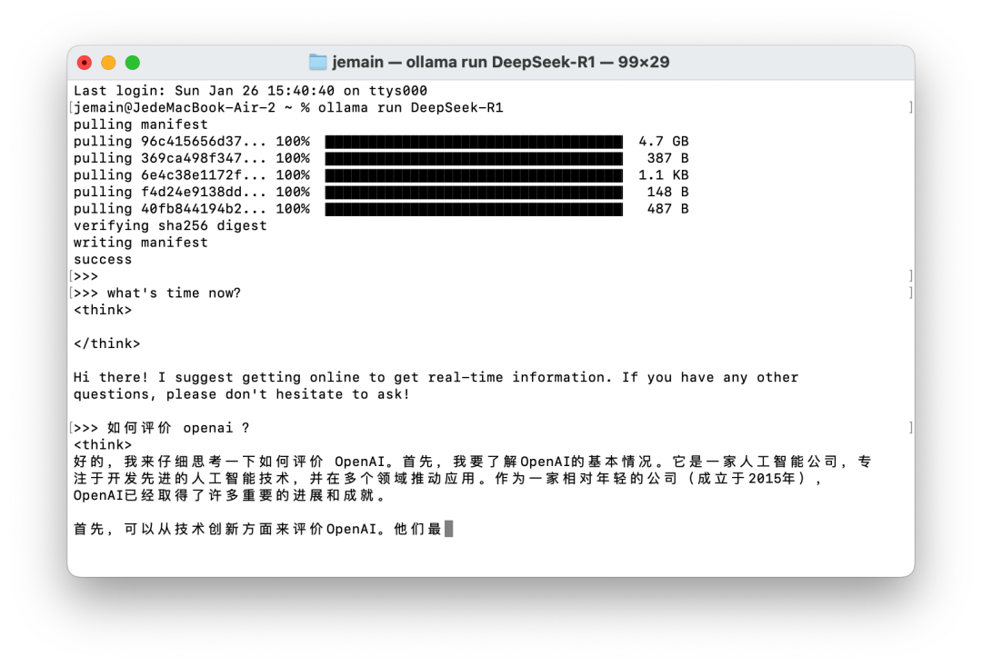 一分钟上手本地运行 DeepSeek 配图 3