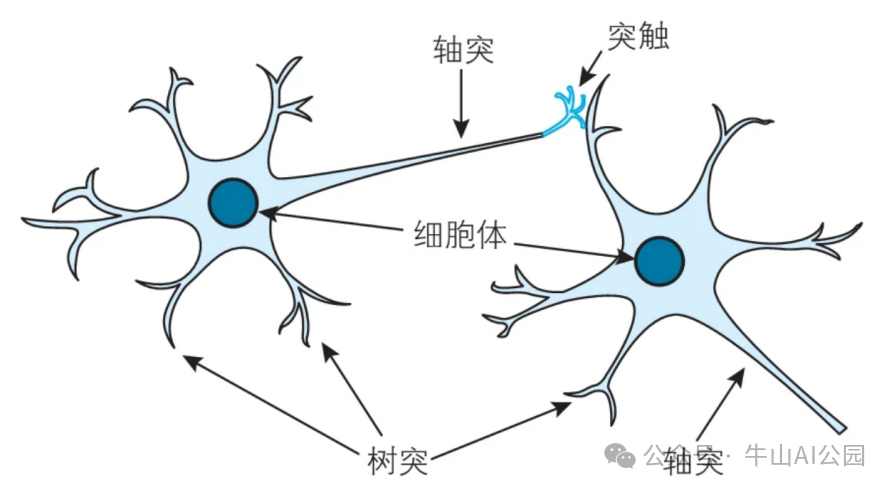 AI模型训练到底在训练什么？