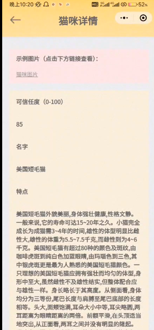 如何本地部署AI模型？ 配图 4